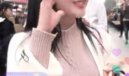 潮汕网红爆料事件视频,揭秘背后真相与网络舆论风暴